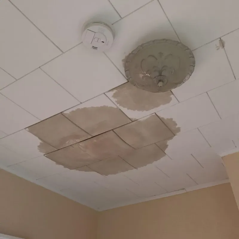 Ceiling Water Damage Repair in Oak Grove, MN