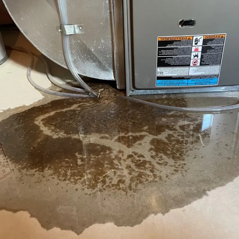Pipe Burst and Leak Restoration in Oak Grove, MN