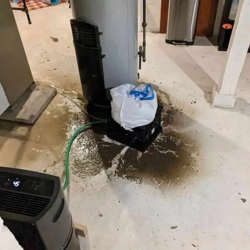 Sewage Backup Cleanup Service in Oak Grove, MN